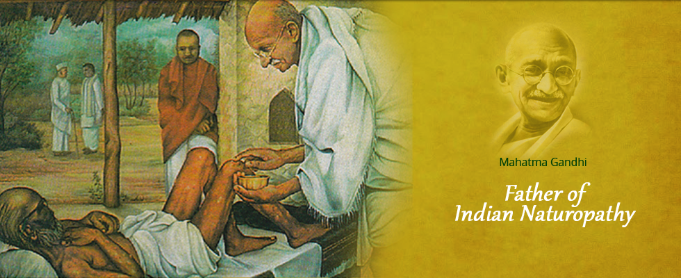 MAHARASHTRA NATUROPATHY COUNCIL, AMRAVATI